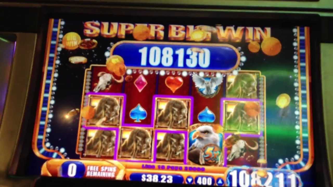 Slot machine max bet big win at macaw money slots